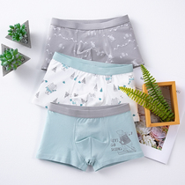  Childrens underwear boys pure cotton boxer shorts boys four seasons Korean version of small and medium-sized children baby children do not clip PP pants