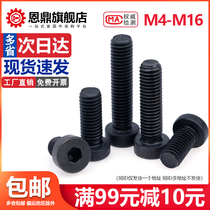 12 9 grade high strength thin head hexagon socket head bolt screw M4M5M6M8M10M16