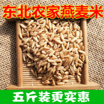The seasons new Northeast New Green oat farm production of naked oat kernel Grain bulk 5 catties