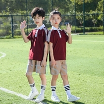 Dongguan school uniform Changping Town primary school uniform summer and autumn short sleeve trousers T-shirt shorts trousers sports cover