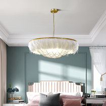 Chandelier living room bedroom lamp simple modern warm romantic master bedroom lamp Nordic Creative Hall Net red feather lamp