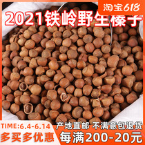 Northeast Teryield Tieling Kaiyuan Fresh Wild Little Hazelnut 2021 Wild Mountain Raw Hazelnut Bulk Nuts Raw