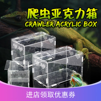 Reptile acrylic box pet combination feeding box snake Spider scorpion small pet transparent tank climbing box feeding box