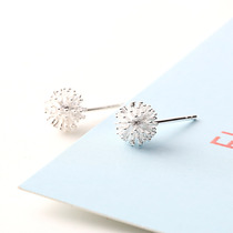 925 silver ear stud female Japanese and Korean style forest department sweet Dandelion stud temperament sweet ear jewelry simple personality