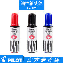 Japan PILOT Hundred Music Industry Oily Big Numbers Pen Waterproof Single Head Pen without fainting SC-BM Black Head Pen Wholesale Mark Pen Red Childrens Painting Optical Pen