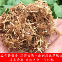 Acacia Flower Farmers Self-produced non-sulfur dried flowers New wild natural and Huanhua bulk 500g sleep