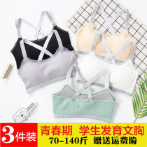 Pure cotton girl underwear development bra cotton primary and secondary school students cute childrens sling half small vest thin