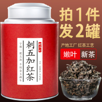 Acanthopanax Wujia tea black tea northeast acanthopanax Wujia tea fresh sleep health tea