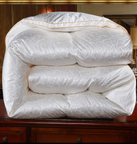 Down quilt sub 95 white goose suede quilted by real velvet quilt Spring and autumn quilted by single double people warm winter quilt core thickened