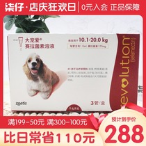 3 big favorite dogs in vivo and in vitro anthelmintics 20-40kg medium-sized dogs with deworming dogs to flea 120mg