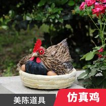 Simulation rooster taxidermy hatched eggs chicken model laying eggs hen ornaments Supermarket egg crafts decorative props