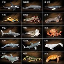 Exquisite marine animal great white shark creature shark model simulation white whale ornaments killer whale childrens toy sea turtle