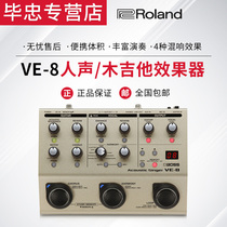 Roland Roland VE-8 phrase Loop folk electric box acoustic guitar playing and singing and vocal effects