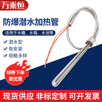 304 High power explosion protection submersible heating pipe industrial water tank heating pipe sink breeding heating rod 380V
