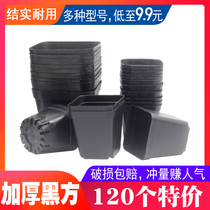 Hundred Earth collection small black side thick meat pot plastic flower cutting seedling leaf planting square Big Black Square
