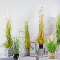 Simulation Reed Nordic large green plant basin picking dogs tail grass simulation home green plant decoration fake grass window props