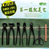 Scissors Bonsai Trim Suit Breaking Bar Pliers Ball Knuckle Leaf Bud Cut Root Cut Pliers Diagonal Port Fork Branch Cut Garden Art Tool Ditto