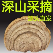 (Tmall Baozheng) Mountain Zi love wild wood hoof Ganoderma lucidum Changbai Mountain deep mountain growth wood hoof layer hole bacteria dry products