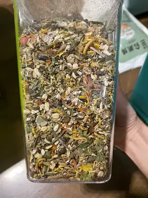 jin si xiong grain Ashkenazi zi pei liang cang shu liang more than 60 grain flowers grain added bear food protein