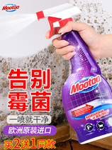 moota demildew demorator demortalize home demortalize mold cleanser wall wall scavenger mouldy