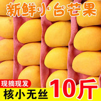 Hainan Xiaotai Nong Mango Fresh Fruit Baise Mango Xiaowai 10 Jin Whole Box