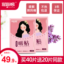 Cat and bear warm stickers treasure stickers motherwort Palace warm stickers female Palace cold self-heating warm treasure waist belly sticking belly hot Post