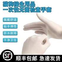 Pet cat dog kitten delivery disposable sterile latex gloves New Birth pet delivery supplies independent