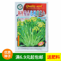 Lianzhou beet heart seeds Green vegetable rapeseed varieties Spring and autumn winter sowing balcony potted vegetable garden vegetable seeds