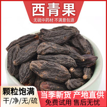 Neung Hall Tibet Yuexing fruit and Tibet green fruit and fruit fresh goods in bulk Chinese medicine material