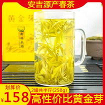 Anji white tea golden Bud tea 2021 new tea green tea before the rain first grade Alpine golden leaves 250g bulk