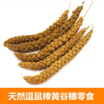 Hamster snacks staple food feed natural yellow grain spike rat stick Golden Bear Flower Branch mouse parrot grain grain 1 pack