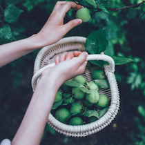Sakura on the flower Indonesian White Vine hand-made fruit basket picnic basket bread basket needle and thread basket