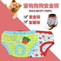 Pet supplies Dog physiological pants bitch menstrual estrus pants Puppy panties Teddy clothes than bear safety pants