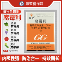 Guoguang 50%rot mold rapeseed grapes strawberries cucumbers gray mold mycorrhizal disease pesticides flower fungicides