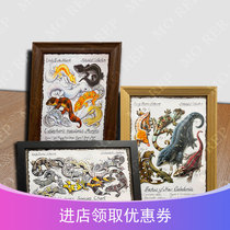 Climbing pet poster BAO WEN Guangong lizard turtle frog reptile strain variety English poster wallpaper hanging painting