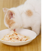 Pet snacks water cooking chicken breast jerky 40g dog cat Teddy universal fattening baby dog wet grain mixed rice