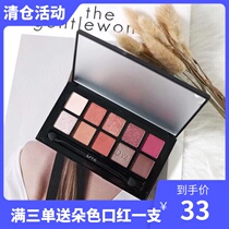 DVZ multi-color new fairy disc ten-color eye shadow net red recommended sub-bright film Daily color rendering high wild and delicate