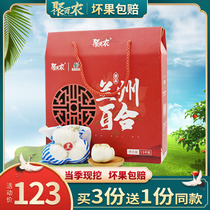 Gansu specialty Lanzhou fresh sweet Lily three-head edible specialty grade high-end gift box Non-dry goods 3kg