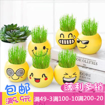 Office mini grass plant desktop potted indoor QQ expression cultivation gift grass head doll wholesale