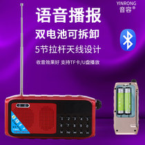 Voice T-889S Bluetooth radio card speaker portable MP3 music player mini stereo