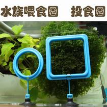  Fish tank Feed fish feeder Feeding ring Floating feed feeding ring Fish food feeding ring Round square optional
