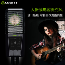 LEWITT Levitt LCT 640 condenser microphone professional recording studio equipment Computer mobile phone radio anchor live K song recording microphone full set