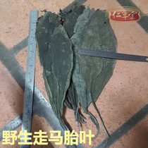 Original ecological walking horse tire leaf dry pure leaf monolithic 40cm or so