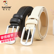 Woodpecker belt womens jeans Joker womens pin buckle belt Korean student simple belt tide decoration ins