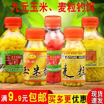 Western wind bait nine yuan synthetic musk corn grain wheat grass carp carp fishing bait Nest Lake Reservoir