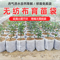 Nursery Non-woven Bag Nutrient Bag Nutraceutical Cup Degradable Free Off Bag Nutrient Bowl Non-woven Basin