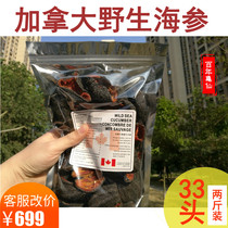 Canadian sea cucumber Iceland Red ginseng Arctic Ginseng American wild light dry goods small sea cucumber Wild leaf melon ginseng