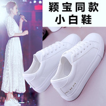 Small White Shoes Woman 2021 New Pure Color Lacing Genuine Leather Breathable White Shoes Round Head Sports Casual Board Shoes Flat Bottom Single Shoes