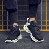 Hong Kong Tide Card 2022 New Summer Net Face Mens Shoes 100 Hitch Sport Casual Breathable Running Old Daddy Heightening Board Shoes