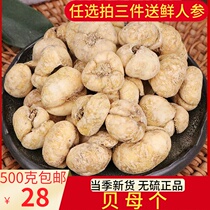 Fritillaria 500 grams of Fritillaria thunbergii Fritillaria Chinese herbal medicine Fritillaria one Zhejiang shellfish has Pingbei Chuanshen